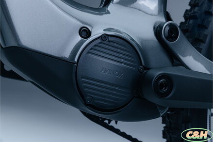 elektrokolo STEPPENWOLF Tundra 10.0 Avinox (L) titanium grey gloss/matt