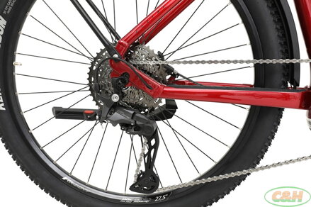 elektrokolo APACHE Rio Grande Bosch CX 800 Wh Touring (S) červená