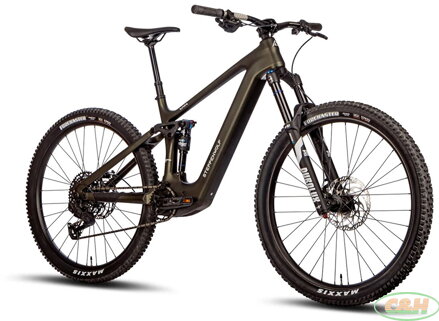 elektrokolo STEPPENWOLF Tundra 9.0 DJI (M) moss green gloss/matt